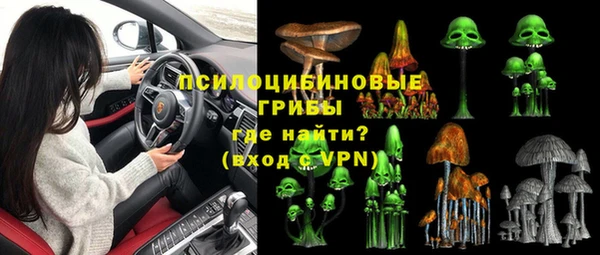 ГАЛЛЮЦИНОГЕННЫЕ ГРИБЫ Киренск