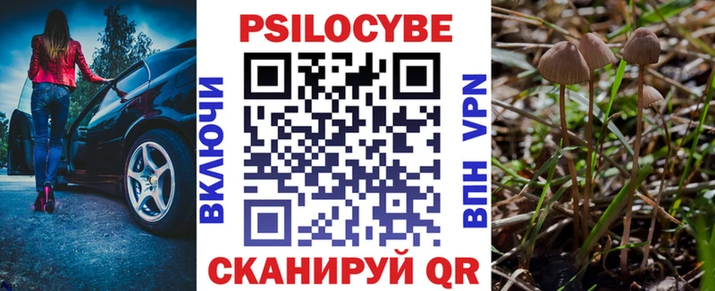 сайты даркнета какой сайт  Сатка  Псилоцибиновые грибы Psilocybine cubensis 