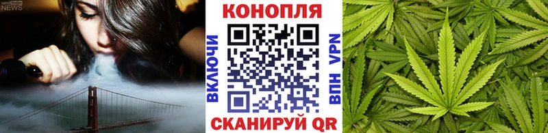 Каннабис гибрид Сатка